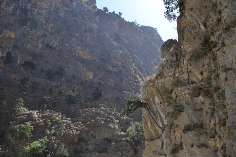 From Chania : Full-Day Samaria Gorge Hike