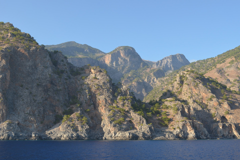 Desde Chania : Excursión de un día a la Garganta de Samaria