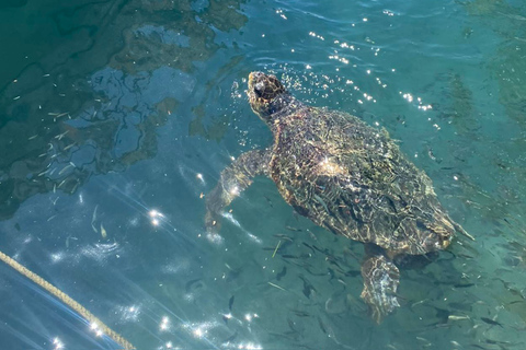 Zakynthos: Turtle Island, Cameo and Keri Caves + Transport Turtle power *more pick up locations*