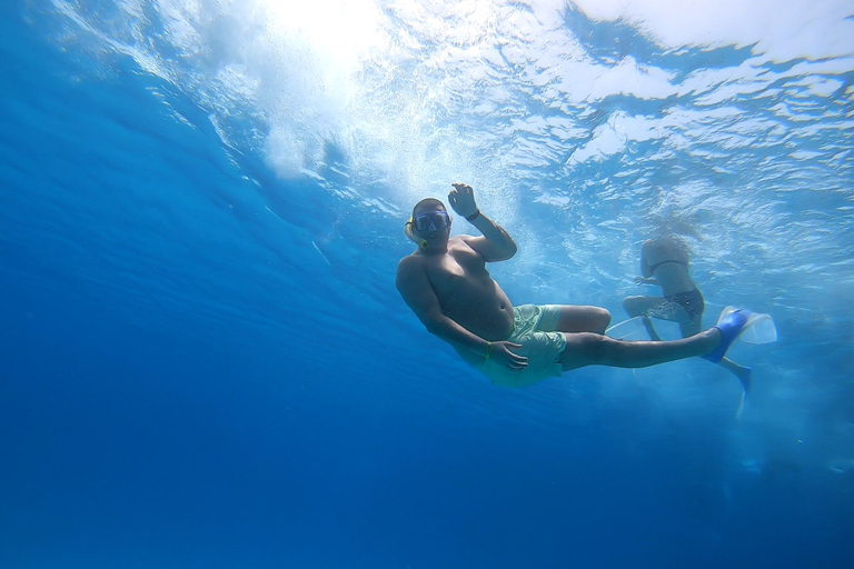 Hurghada or Makadi: Discover the Magic of Dolphin House Pickup from Makadi