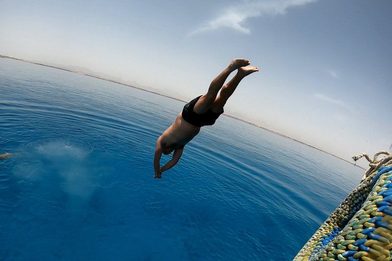 Hurghada eller Makadi: Upptäck magin i Dolphin HouseUpphämtning från Hurghada