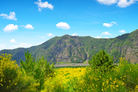 From Naples: Vesuvius & Pompeii with Transfer & Audio Guide