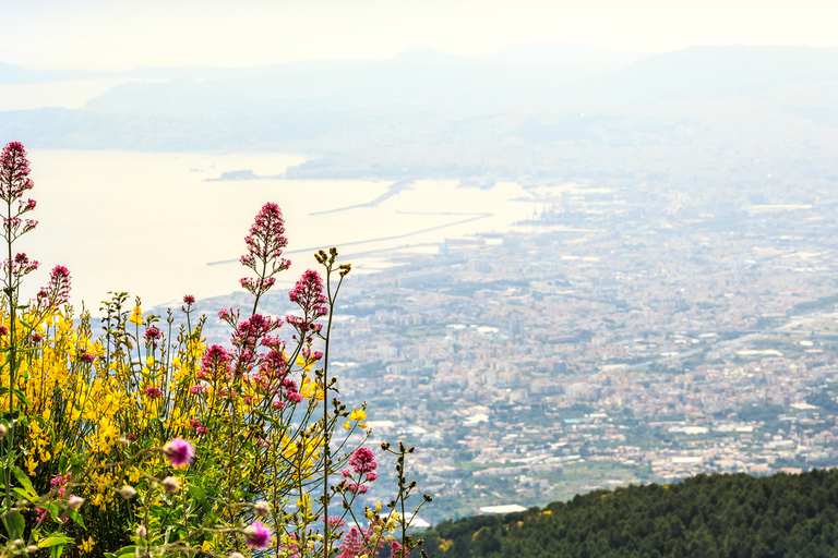 Pompei: Mount Vesuvius and Pompeii with Round-Trip Transfer