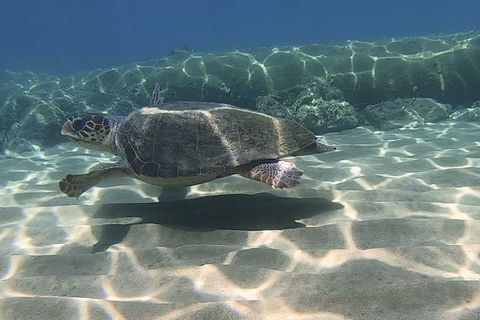 Heraklion: Lección de buceo para principiantes con instructor PADIInmersión para principiantes en la bahía de Agia pelagia - Sin traslado