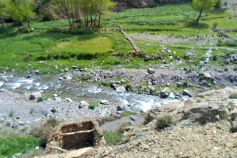 De Marrakech à la cascade d'Imlil et au désert d'Agafay, tout est compris.