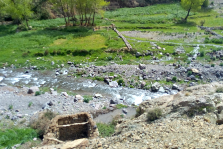 De Marrakech a la cascada de Imlil y el desierto de Agafay todo incluido