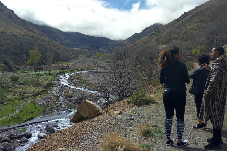 De Marrakech a la cascada de Imlil y el desierto de Agafay todo incluido