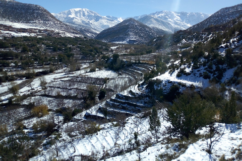 De Marrakech a la cascada de Imlil y el desierto de Agafay todo incluido