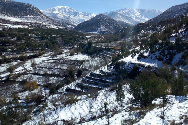 De Marrakech a la cascada de Imlil y el desierto de Agafay todo incluido