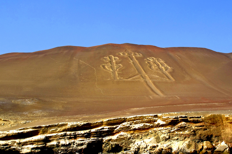 FD: Ica, Paracas - Ballestas Islands - Huacachina Excursion