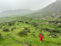 Da Samarcand, Shakhrisabz Tour Privato via Altopiano del Diavolo - Hizvo