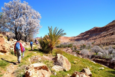 Excursion d'une journée de Marrakech à Ijoukak et au lac Ouirgane à dos de chameau