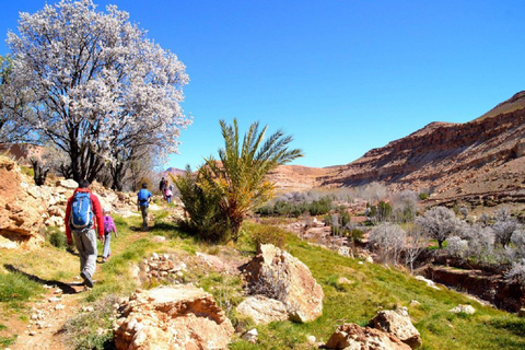 Excursion d'une journée de Marrakech à Ijoukak et au lac Ouirgane à dos de chameau