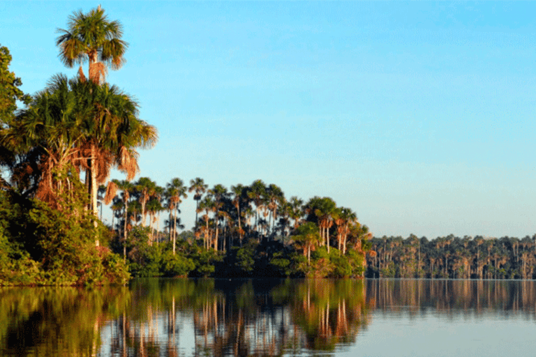 Sandoval Lago Tambopata 4 días 3 noches: Arcilla del Guacamayo Chuncho