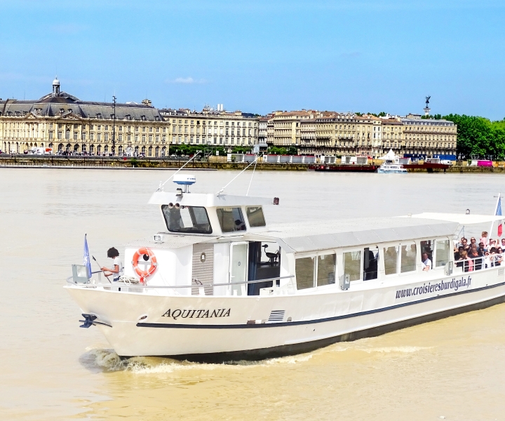 Bordeaux: Rejs po rzece z przewodnikiem UNESCO