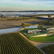 Melbourne: Helicopter, Wine Tasting & Lunch in Yarra Valley Melbourne: Helicopter, Wine Tasting & Lunch in Yarra Valley