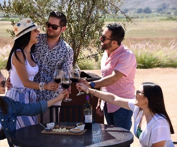 Ensenada: Rondo del Valley Winery Tour mit 5 Verkostungen