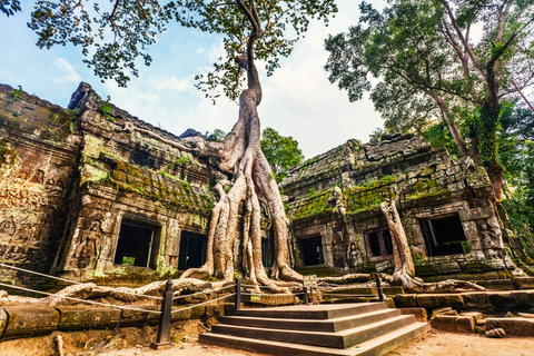 Angkor Wat Private Day Tour met kijken naar zonsondergang in de tempel