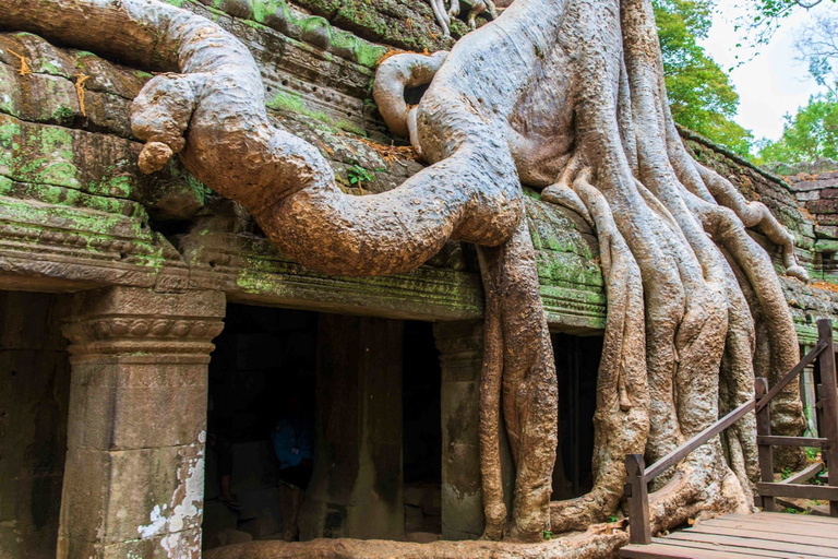 Angkor Wat one Day Private Tour for All Highlight Temples