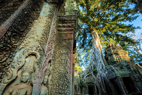 Angkor Wat Private Tagestour mit Beobachtung des Sonnenuntergangs am Tempel