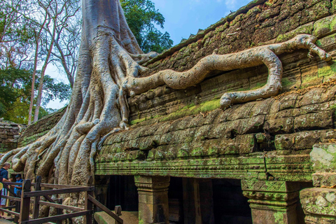 Angkor Wat Private Tagestour mit Beobachtung des Sonnenuntergangs am Tempel