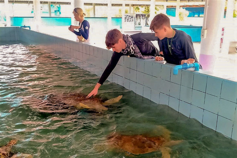 Vanuit Phuket: gedeelde tour voor het behoud van olifanten en zeeschildpadden