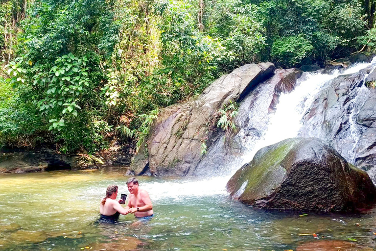 Vanuit Phuket: gedeelde tour voor het behoud van olifanten en zeeschildpadden