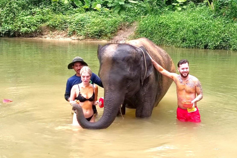 Phuket: Elephant &amp; Sea Turtle Conservation Tour with Rafting