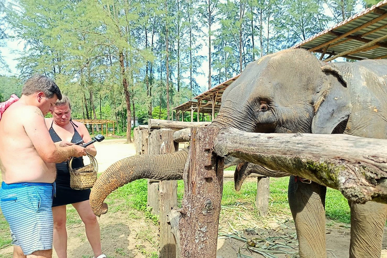 Von Phuket aus: Gemeinsame Tour zum Schutz von Elefanten und Meeresschildkröten