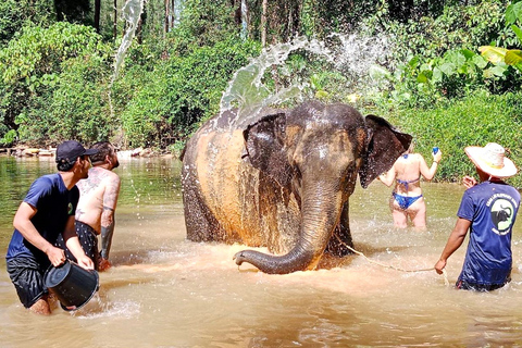 Phuket: Elephant &amp; Sea Turtle Conservation Tour with Rafting