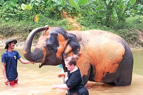 Vanuit Phuket: gedeelde tour voor het behoud van olifanten en zeeschildpadden