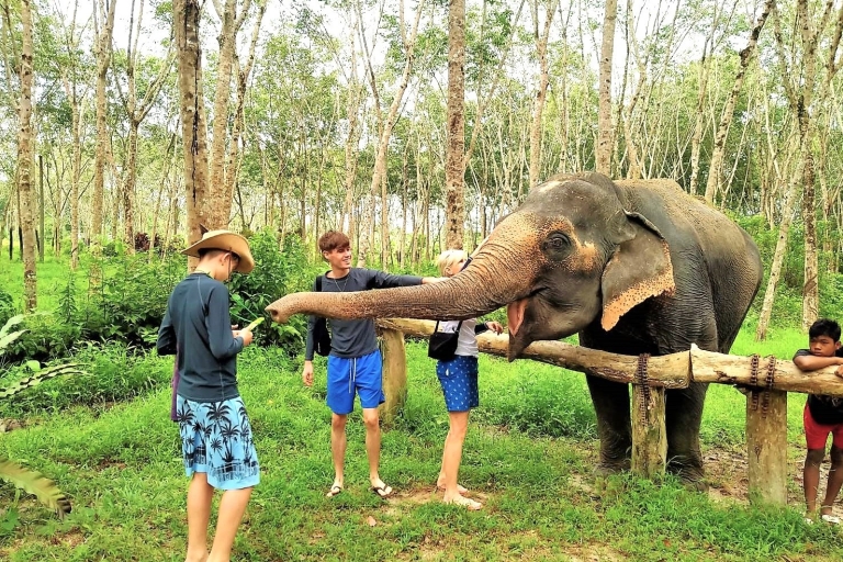 Z Phuket: wspólna wycieczka do ochrony słoni i żółwi morskich