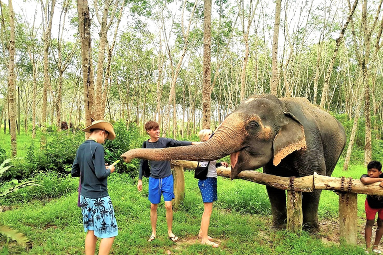 Vanuit Phuket: gedeelde tour voor het behoud van olifanten en zeeschildpadden