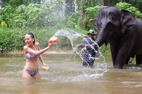 Phuket : Circuit de conservation des éléphants et des tortues de mer avec rafting