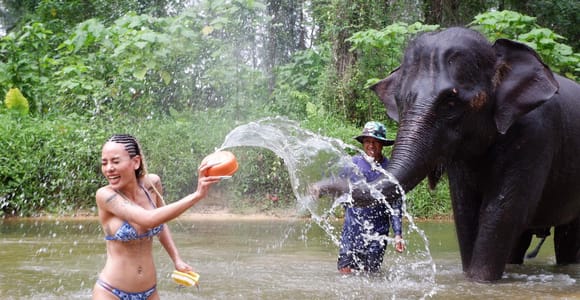 Ethisches Naturabenteuer in Phuket: Rafting, Schildkröten & Elefanten