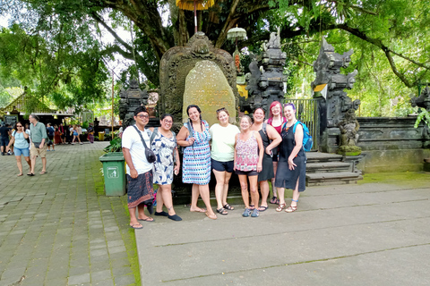 Autocharter: beste watervallen, rijstterrassen Tour in Ubud8 uur autohuur Rijstterrassen, watervallen, watertempel