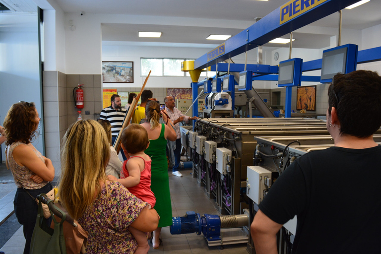 Olives & Olive Oil Tasting (2 in 1 Experience!) Olive oil and Olives tasting in Rhodes with Transfer