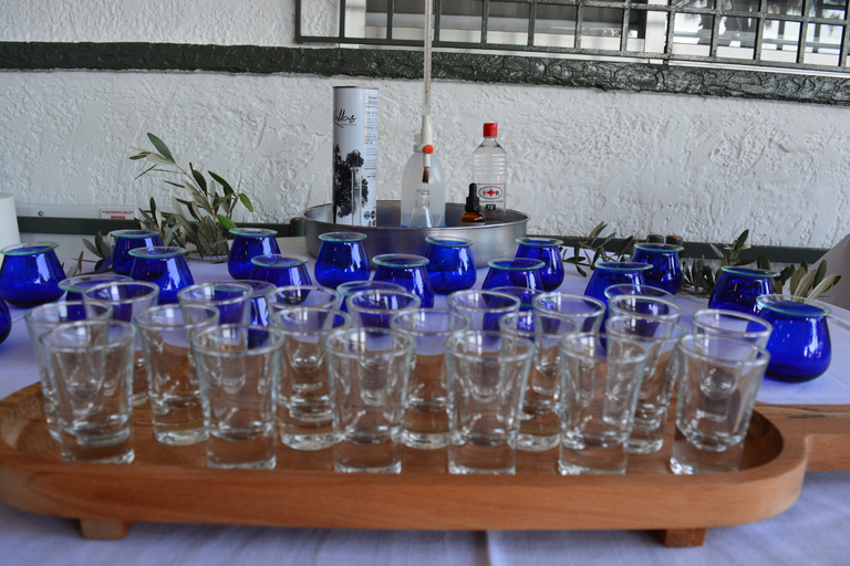 Olives & Olive Oil Tasting (2 in 1 Experience!) Olive oil and Olives tasting in Rhodes with Transfer