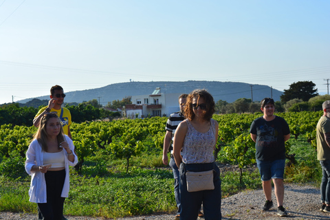 Olives & Olive Oil Tasting (2 in 1 Experience!) Olive oil and Olives tasting in Rhodes with Transfer