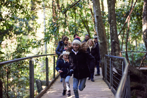 Depuis Sydney : excursion aux montagnes bleues en minibus