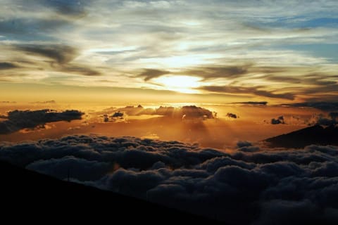 Maui: Private Upcountry Sunset Tour with Dinner