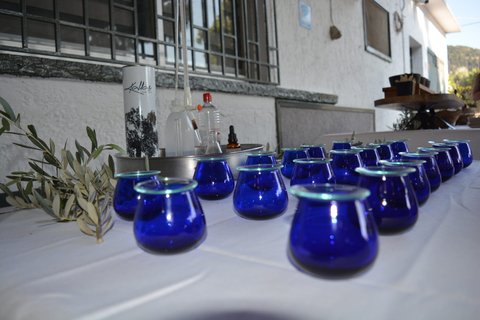 Olives & Olive Oil Tasting (2 in 1 Experience!) Olive oil and Olives tasting in Rhodes with Transfer