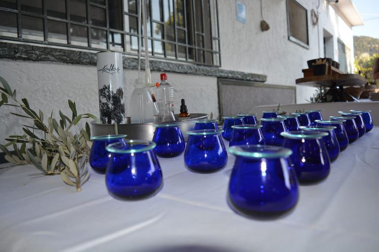 Olives & Olive Oil Tasting (2 in 1 Experience!) Olive oil and Olives tasting in Rhodes with Transfer