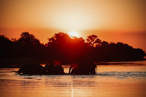 Private Game Drive Safari in the Chobe National Park