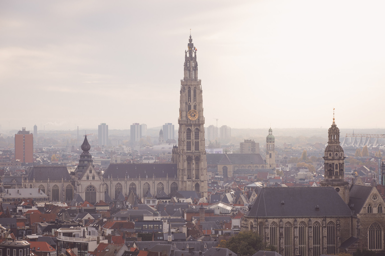 Ab Brüssel: Tagestour nach AntwerpenGruppentour auf Deutsch