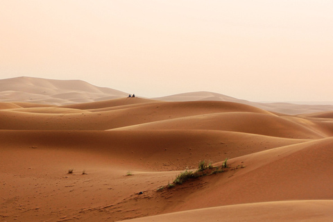 De Marrakech: 3 dias e 2 noites para o deserto do Saara MerzougaDe Marrakech: excursão de 3 dias ao deserto do Saara de Merzouga