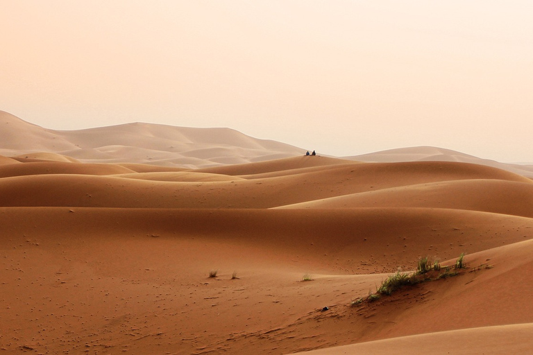 De Marrakech: 3 dias e 2 noites para o deserto do Saara MerzougaDe Marrakech: excursão de 3 dias ao deserto do Saara de Merzouga