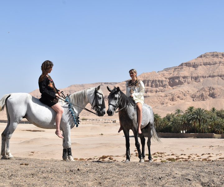 Ride with rescued horses to discover Luxor