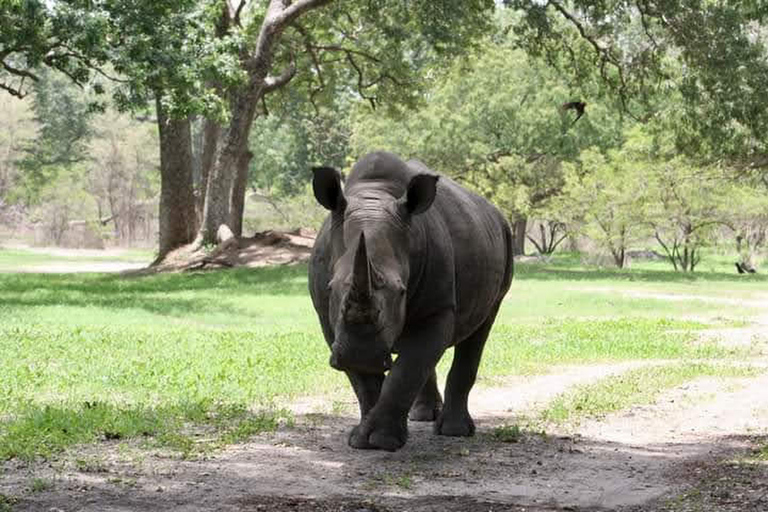 Parc safari animalier de Fathala