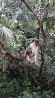 Visita 7 attrazioni in 1 giorno Gambia - Hizvo